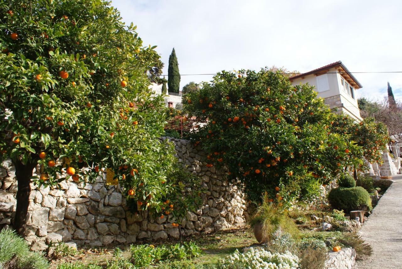 Three Oranges Apartamento Trsteno Exterior foto