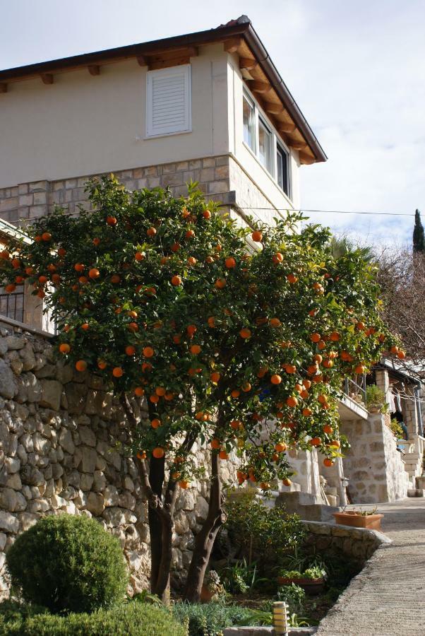 Three Oranges Apartamento Trsteno Exterior foto