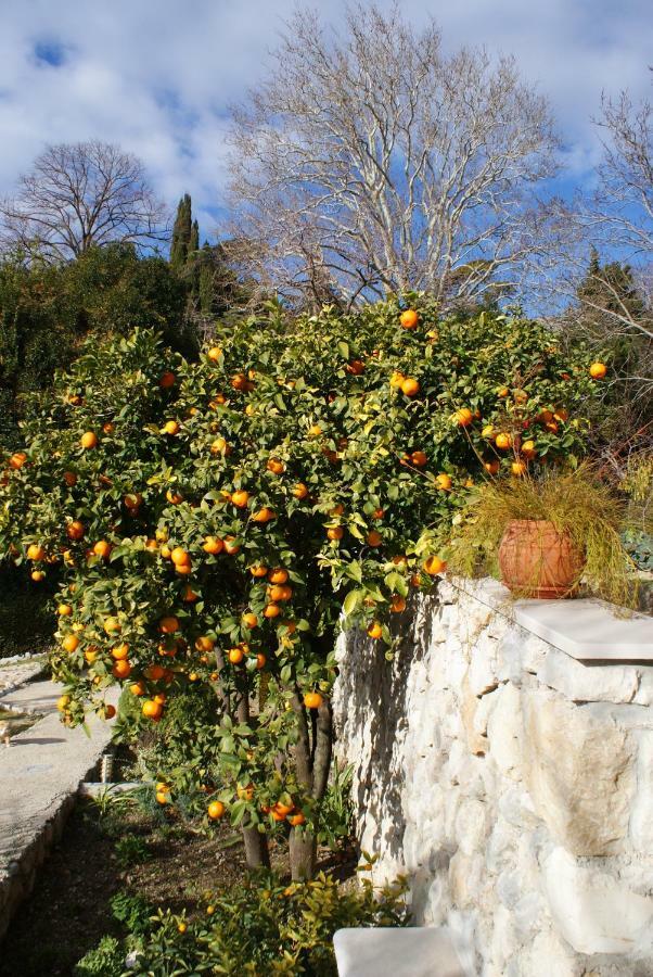 Three Oranges Apartamento Trsteno Exterior foto